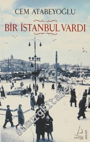 Bir İstanbul Vardı