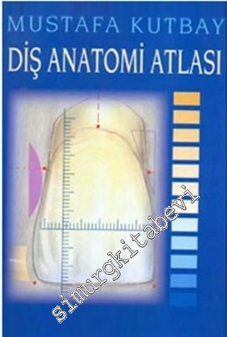 Diş Anatomi Atlası
