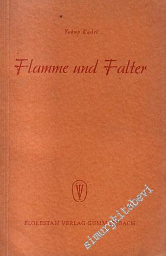 Flamme und Falter, Ein Derwisch - Roman