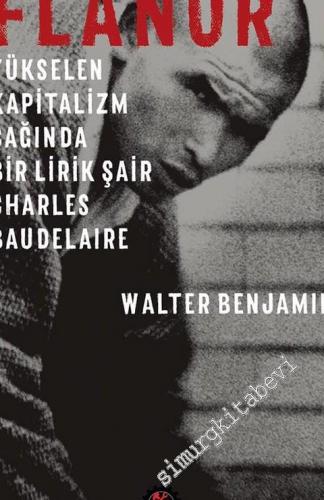 Flanör: Yükselen Kapitalizm Çağında Bir Lirik Şair Charles Baudelaire