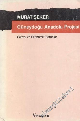 Güneydoğu Anadolu Projesi - Sosyal ve Ekonomik Sorunlar