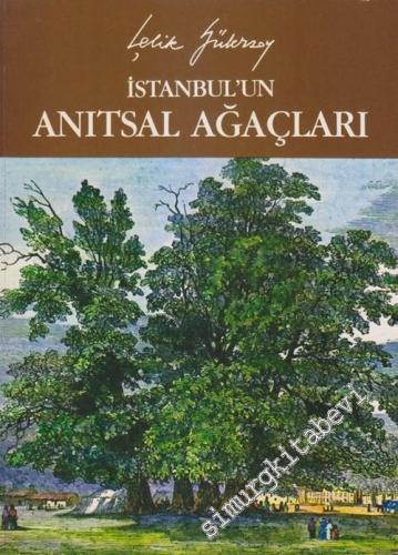 İstanbul'un Anıtsal Ağaçları: 1 Rumeli Kavağı - Kağıthane Arası