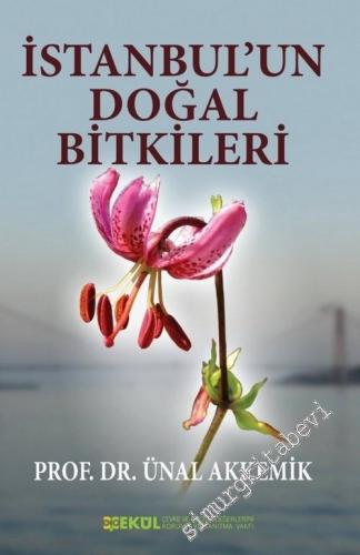 İstanbul'un Doğal Bitkileri