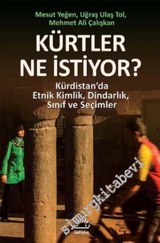 Kürtler Ne İstiyor? Kürdistan'da Etnik Kimlik, Dindarlık, Sınıf ve Seç