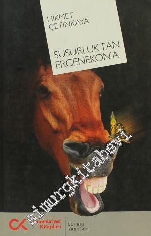Susurluk'tan Ergenekon'a