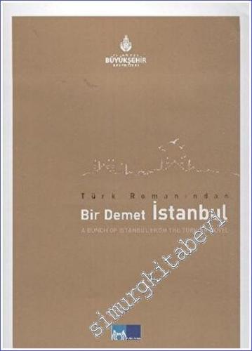 Türk Romanından Bir Demet İstanbul = A Bunch Of Istanbul From The Turk