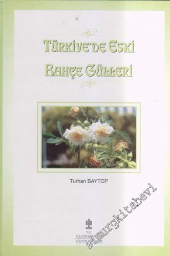 Türkiye'de Eski Bahçe Gülleri