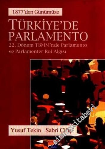 Türkiye'de Parlamento: 1877'den Günümüze, 22. Dönem TBMM'nde Parlament